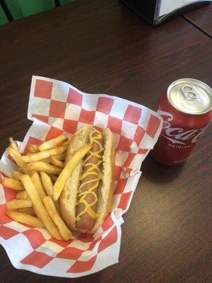 All beef hotdog and fries