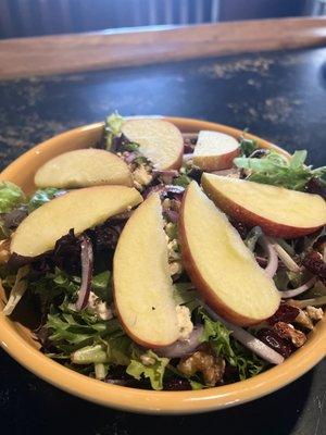 Cranberry walnut salad with apples