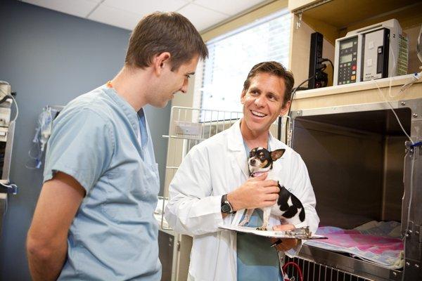 Pet Emergency & Specialty Center-South County