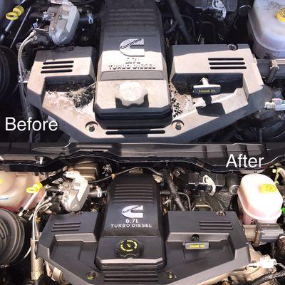 This truck was in serious need of an engine bay detail after some critters had been living in it