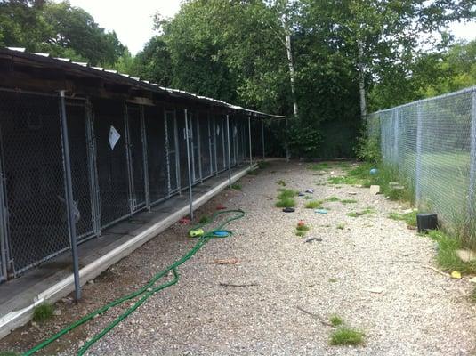 Play area outside kennel.