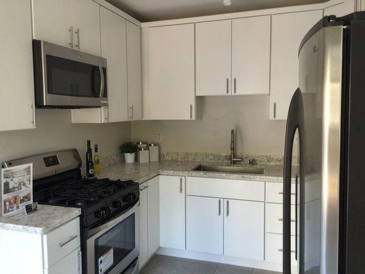 Kitchen with Alabastar cabinets and Quartz counters