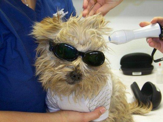 Laser Therapy