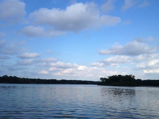 Ned Brown Forest Preserve