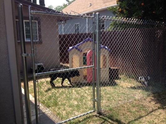 No job too small or unimportant~Freedom Fence made an animal enclosure for my pets and they LOVE it!