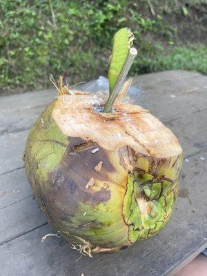 Coconut water