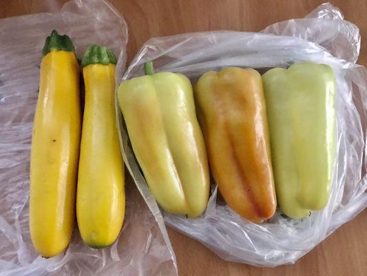 Golden Zucchini ($2/lb.) & Gypsy Peppers ($.75/each)