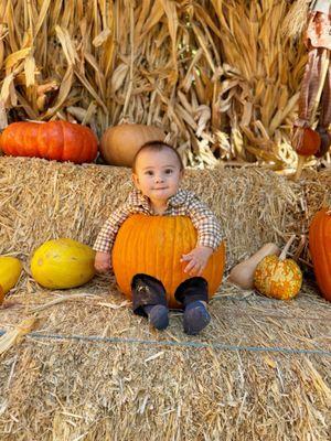 Shadelands Ranch Pumpkin Patch