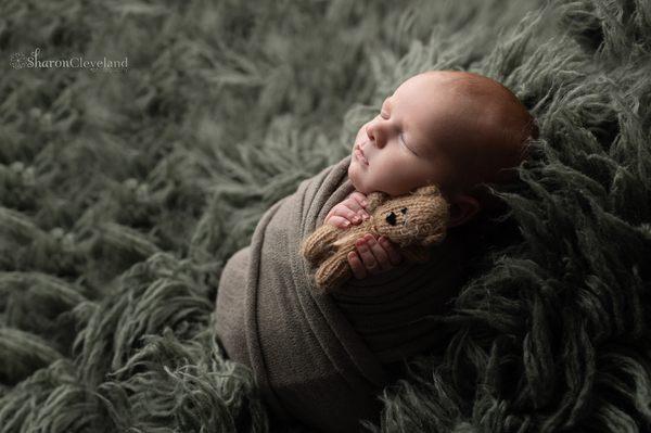 He loved our teddy!