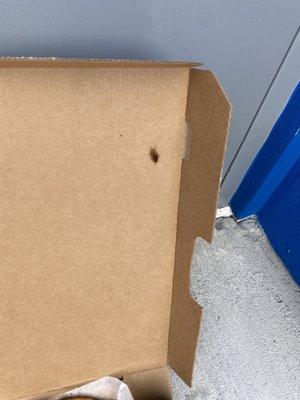 German cockroaches with inside pizza box crawling out