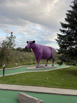 Purple Moo Majesty