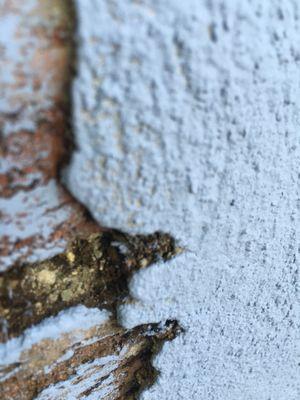 Stucco over moss