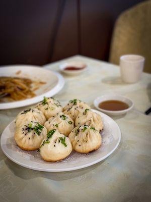 pan fried soup dumpling