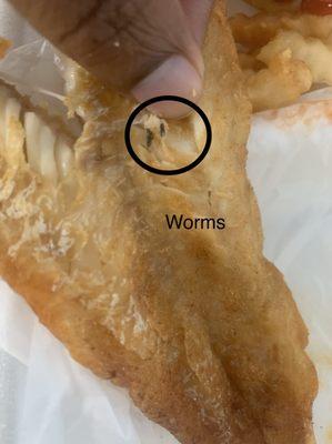 Multiple WORMS IN MY FISH