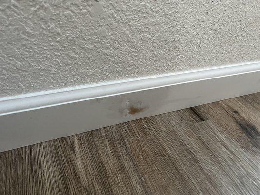 Damaged baseboard primer. Read my review for details