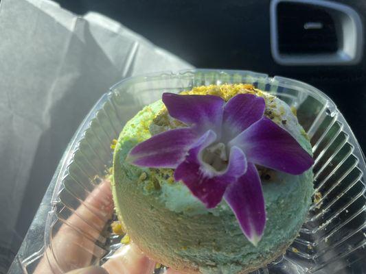 A beautiful orchid on top of a beautiful cheesecake