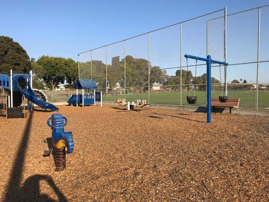 Swings for the toddlers.