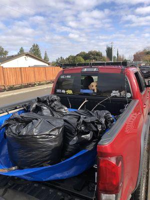 Taking yard waste to the dump