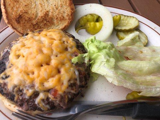 Half-pound cheeseburger - very good & hot.