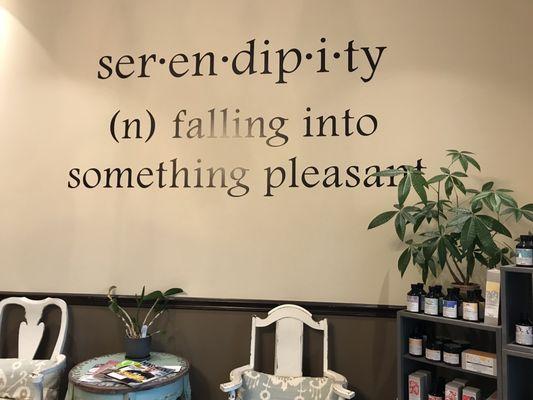 Serendipity Hair Studio