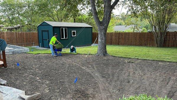 Palmetto st augustine sod install in progress