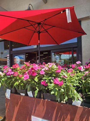 Entrance with patio umbrella and plants