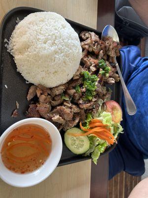 Pork rice ( with extra pork)