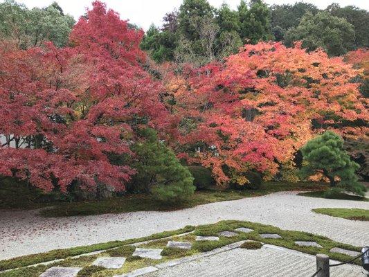 November in Kyoto