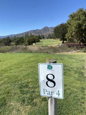 The eighth hole