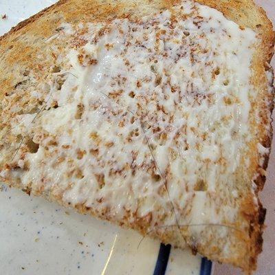 Toast  was hairy