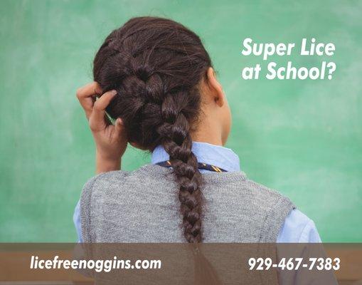 Super lice in school?