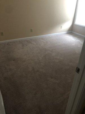 Clean carpets