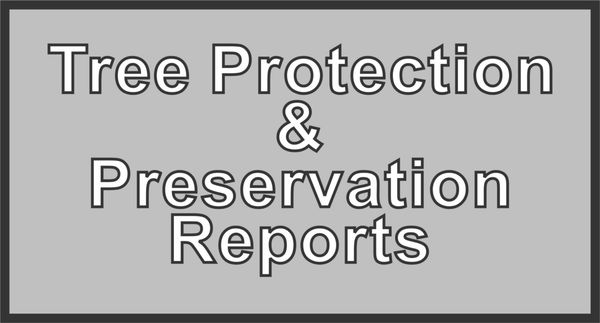 Written arborist reports called a tree protection and preservation plan must be submitted before building permits are issued in some cities.