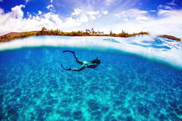 Snorkel the crystal clear waters of Maui on our Discover Lana'i, Ka'anapali, Molokini, or Olowalu snorkel excursions!