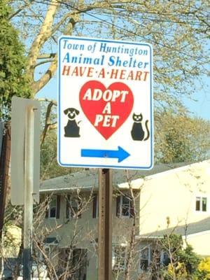 League For Animal Protection of Huntington