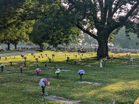 St Johns Cemetery, Collinsville