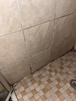 Moldy shower that needs re-tiling