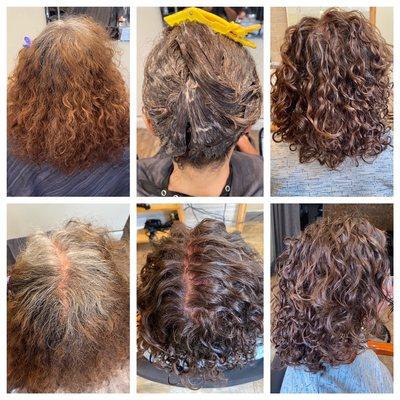 Curly Dry Hair cut  Single process hair color