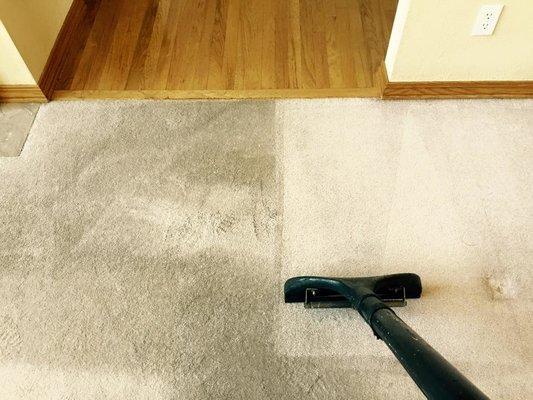 Midwestern Steam Clean can make a huge difference on the cleanliness of your home.