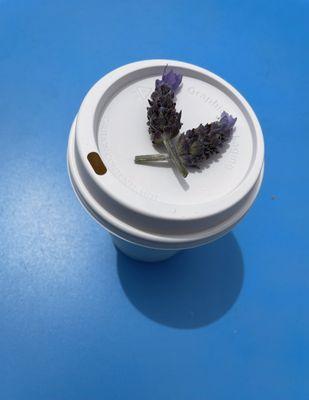 the absolutely perfect lavender latte