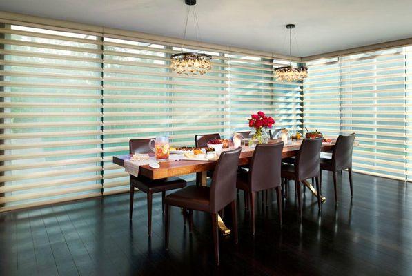 Hunter Douglas Pirouette® Window Shadings