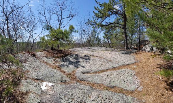 Trail markers on the rock