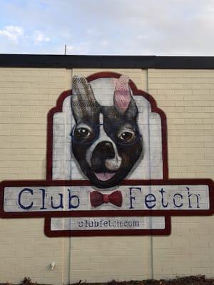 Club Fetch