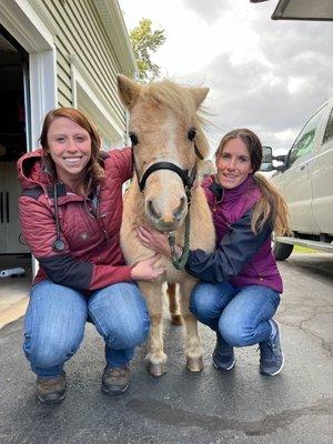 Dr. Deanna and Technician Amy with one of our equine patients.