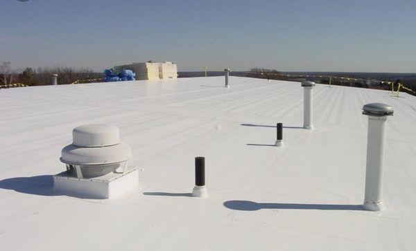 TPO Roof