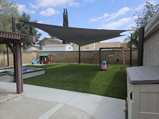 Backyard turf