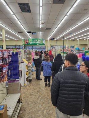 1 cashier. 20 customers standing in line. Just another day at Dollar Tree . If 3 is a crowd, what do you call this?