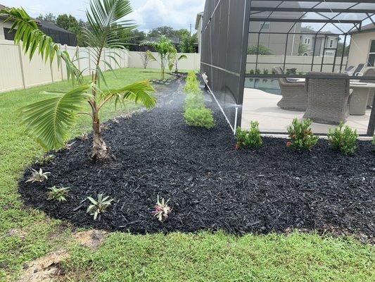 *Landscape created with new irrigation install