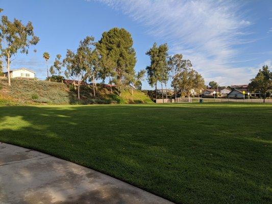 Large grass field