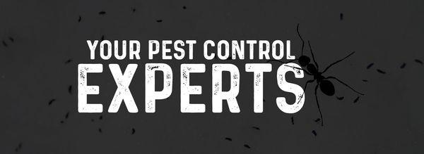 Expert Pest Control